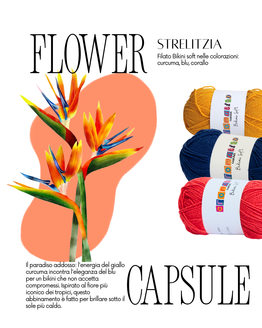 Kit Bikini - Strelitzia