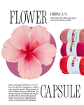 Kit Bikini - Hibiscus