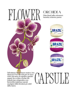 Kit Bikini - Orchidea