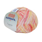 Toujours - Adriafil - 50gx250m