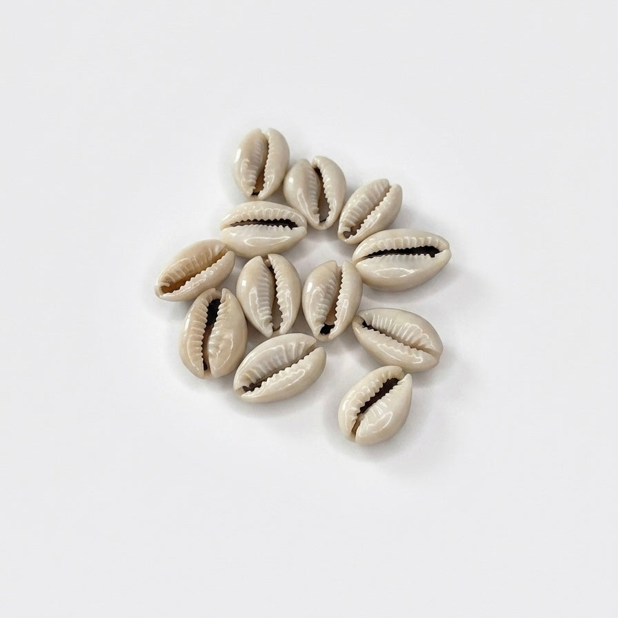 Conchiglie decorative