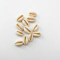 Conchiglie decorative