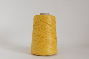 CURCUMA